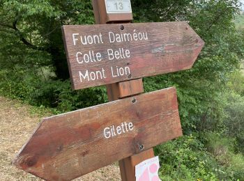 Tocht Stappen Gilette - Gilette A/R par Tourrette du château  - Photo