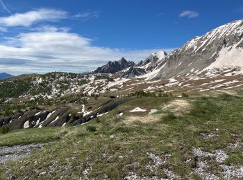 Tocht Stappen Saint-Martin-d'Entraunes - Tête de l’Encombrette - Photo