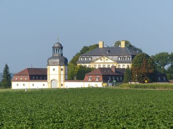 Excursión A pie Eggolsheim - Lauferlebnis Fränkische Schweiz E5 - Photo