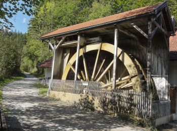 Percorso A piedi Kiefersfelden - Kieferer Energiewanderweg (Grüne Tour) - Photo