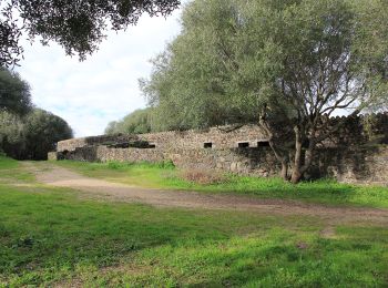 Tour Zu Fuß Biddanoa Truschedu/Villanova Truschedu - Nuraghe Santa Barbara - Photo