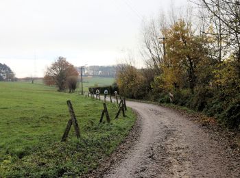 Excursión Senderismo Tubize - Oisquercq - Stéhou - Coeurq - Photo