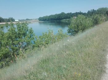 Randonnée Marche Châteauneuf-sur-Loire - 2019-07-07 - Photo