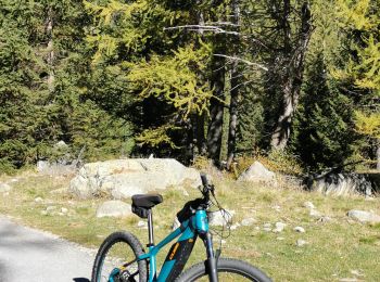 Tocht Elektrische fiets Saint-Martin-Vésubie - hameau de mollieres - Photo