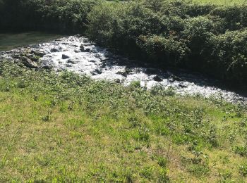 Trail Walking Chanaz - Chanaz - Photo