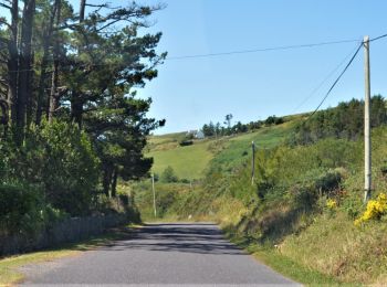 Excursión A pie West Cork - Caher Loop Walk - Photo