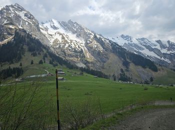 Randonnée V.T.T. Le Grand-Bornand - Tour du Danay - Photo