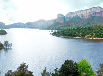 Excursión A pie Tavèrnoles - Folgueroles-Salt de la Minyona-Tavèrnoles - Photo