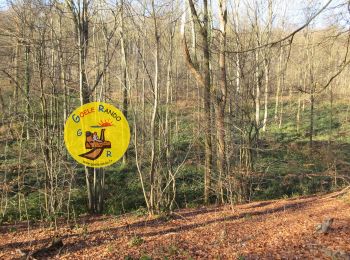 Trail Walking Saint-Martin-du-Tertre - SityTrail - GP_FORET-de-CARNELLE_20.5Km - Photo