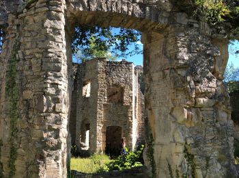 Trail Walking Oberlarg - Château de Morimont avec Patrice - Photo