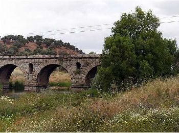 Excursión A pie Seda - Olhar Sobre a Ribeira de Seda - Photo