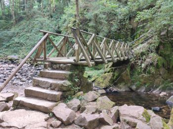 Randonnée Marche Rochesson - Les Roches Saint-Jacques et la Cascade du Bouchot - Photo