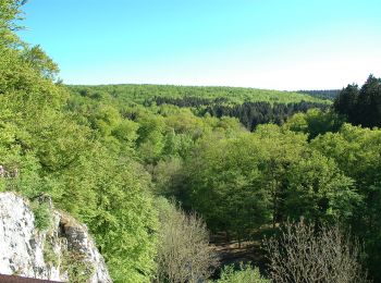 Randonnée A pied Warstein - [-]Hirschberg - Höhle - Photo