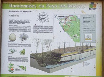 Tour Wandern Andernay - Andernay9 avril 23 - Photo