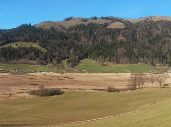 Excursión A pie Gemeinde Walchsee - Wanderweg 54 - Kaiserwinkl - Photo