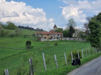 Excursión Bici de montaña Fontanès - la fouillouse antenne Aveizieux  - Photo