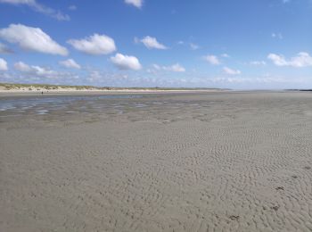 Tour Wandern Quend - Picardie 2020 Quent plage  vers la baie de Somme et les bouchots - Photo