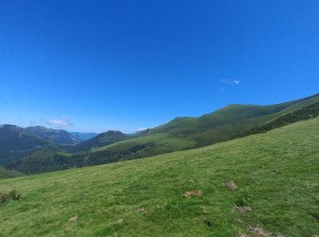 Percorso Marcia Saint-Lary - Haute Bellongue  - Photo