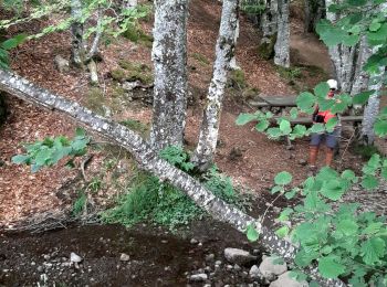 Excursión Senderismo Brezons - Bezon les 5 cascades - Photo