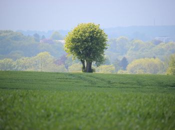 Percorso A piedi Kerken - Eyller See Rundweg A3 - Photo