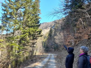 Excursión Senderismo Corbonod - GRAND COLOMBIER: SUR LYAND - CHARBEMENES - CHALET D'ARVIERES - Photo