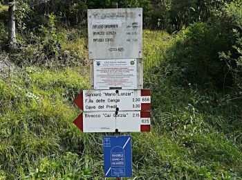 Trail On foot Tarvisio - IT-654 - Photo