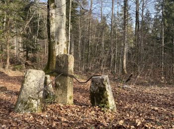 Trail On foot Neuchâtel - Chaumont Funiculaire - Les Trois Bornes - Photo