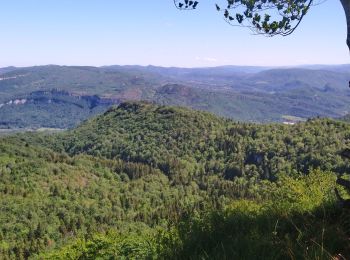 Trail Walking Rogna - Rogna Roche de la Joux  - Photo