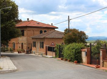 Trail On foot Asciano - IT-508 - Photo