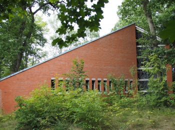 Tour Zu Fuß Südheide - Südheide 'In einem Bächlein helle' W6l (lange Tour) - Photo