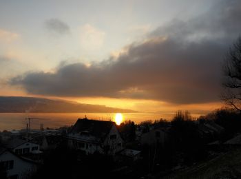 Tocht Te voet Rüschlikon - Nidelbad - Thalwil (Bahnhof) - Photo