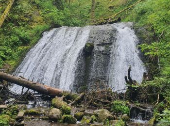 Tour Wandern La Bourboule - 2024-07-19 La Roche Vendeix  - Photo