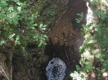 Excursión Senderismo Aillon-le-Jeune - aillon le keune - Photo