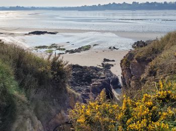 Trail Walking Lancieux - lancieux. les polders tregon - Photo