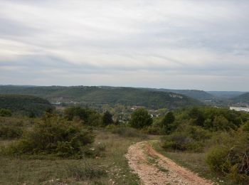 Randonnée A pied Condat-sur-Vézère - Boucle de la Commanderie - Photo