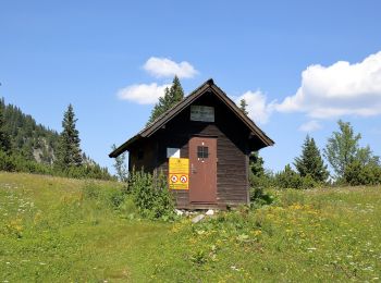 Percorso A piedi Gemeinde Schwarzau im Gebirge - AT-50 - Photo