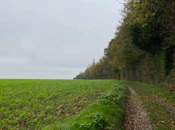 Percorso Marcia Gembloux - Corroy-le-Château - Couture-Saint-Germain (GR126) - Photo