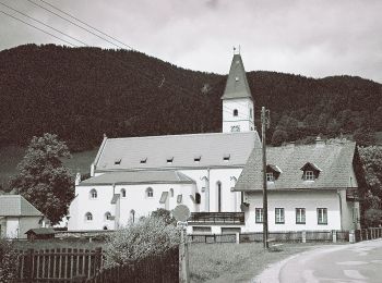 Randonnée A pied Gemeinde Spital am Semmering - AT-21 - Photo