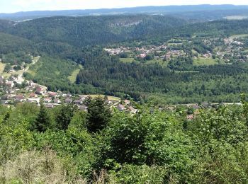 Tocht Stappen Équevillon - Equevillon  - Photo