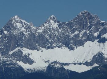 Randonnée A pied Gosau - Gosausee-Dachstein - Photo