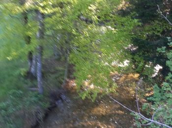 Randonnée Marche Cheylard-l'Évêque - Les Sources de Lalliers - Photo
