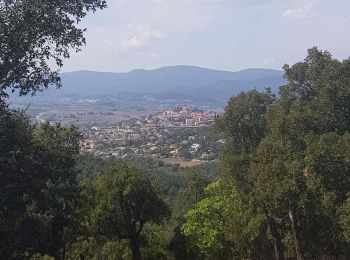 Excursión Senderismo Pierrefeu-du-Var - PIERREFEU RAVANAS - Photo