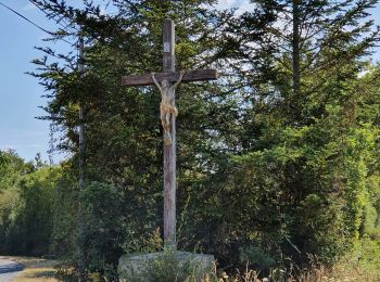 Randonnée V.T.C. La Garnache - La Garnache-Boucle des éoliennes  - Photo