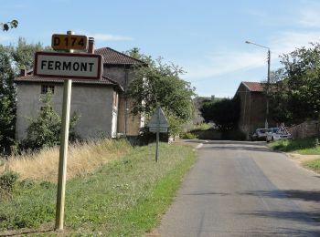 Tocht Te voet Beuveille - Circuit de Fermont - Photo