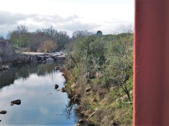 Trail Walking Vidauban - Vidauban cascade et pont de fer de l'Aille - Photo