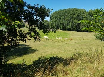 Randonnée Marche Braine-l'Alleud - ophain0720 - Photo