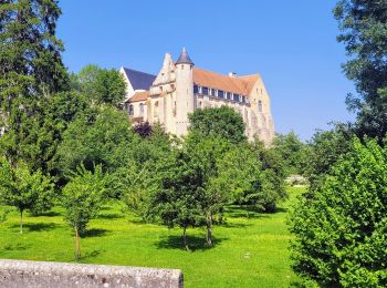 Trail Walking Château-Landon - Promenade à Château Landon et ses alentours - Photo