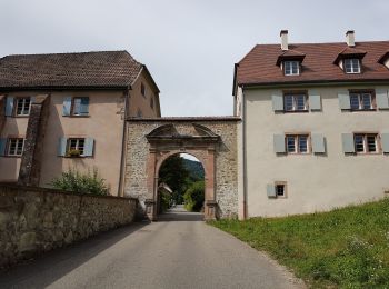 Trail Walking Murbach - Murbach - Grand Ballon - Lac du Ballon - Col du Wolfsgrube - Photo