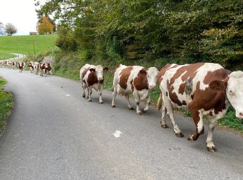 Randonnée Marche Saint-Franc - Boucle autour de saint Franc - Photo