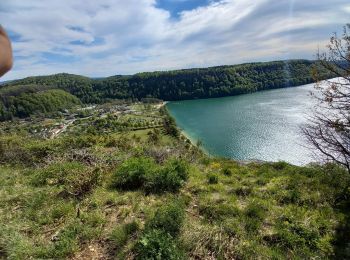 Randonnée Marche Fontenu - Fontenu Tour du lac de Chalain  - Photo